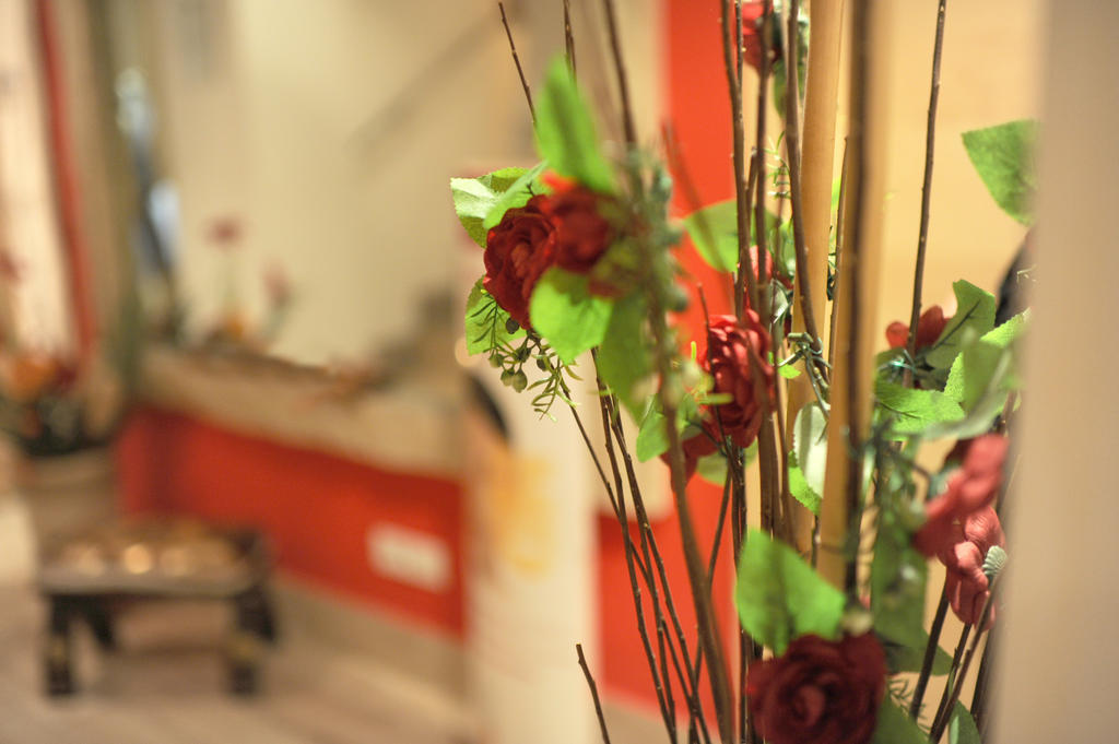 Relais San Pietro Hotel Roma Ngoại thất bức ảnh